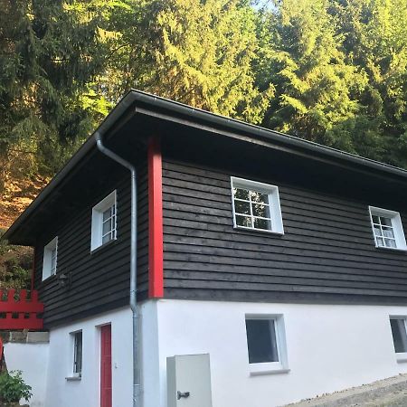 Blockhaus Im Kuckuckswinkel Villa Schöna Exteriör bild